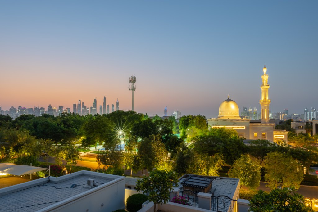 Emirates Hills — photo 28